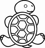 Turtle Tortoise Coloring Sea Back Drawing Loggerhead Clipartmag Wecoloringpage sketch template