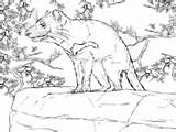 Coloring Tasmanian Devil Marsupial Pages Australia Growling Printable Drawing 1199 1kb sketch template