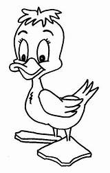 Ducks Coloring Pages Fun Kids sketch template