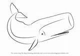 Draw Whale Drawing Sperm Mammals Drawings Step Animals Learn Paintingvalley sketch template
