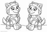 Paw Patrol Everest Pages Coloring Printable Colouring Kids Print sketch template