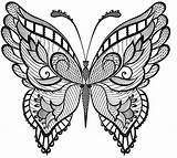 Adults Ausmalbilder Schmetterling Erwachsene Mandala Bestcoloringpagesforkids Malvorlagentv sketch template