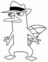 Coloring Pages Platypus Perry Popular sketch template