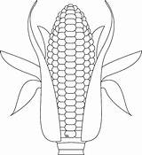 Corn Coloring Indian Getcolorings sketch template