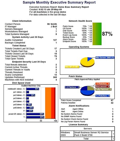 executive report template report template business template