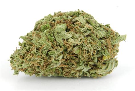 mountain kush indica strain review swamis medical marijuana dispensary