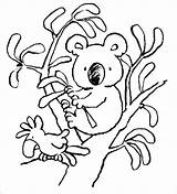 Koala Coloring Baby Pages Coloringbay sketch template