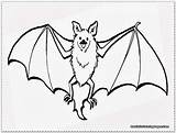 Bat Coloring Pages Realistic Halloween Cartoon Drawing Fruit Clipart Wings Flying Printable Cute Getcolorings Getdrawings Color Clip Ocean Excellent Bats sketch template