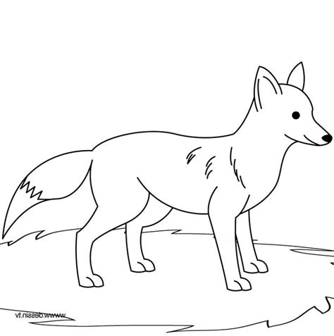 fox outline drawing  paintingvalleycom explore collection  fox