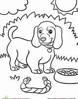 Weiner Colouring Canine Hunde Designlooter Getdrawings sketch template