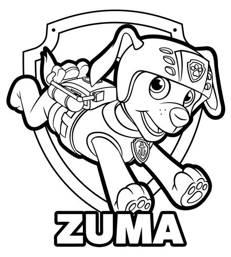 paw patrol zuma coloring pages  getcoloringscom  printable