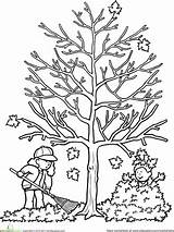 Thema Herfst Bomen Lijn Knutselen Kleurplaten sketch template