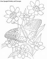 Coreopsis Butterflies Designlooter sketch template