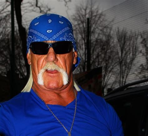 Hulk Hogan Turns To Fbi For Sex Tape Assistance The