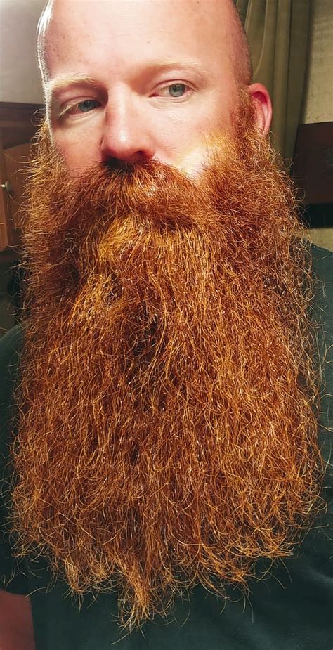 long beard contest winner beard contest long beards beard styles bald