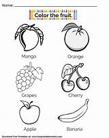 Fruit Concentration sketch template