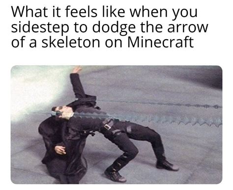 ok sex is cool but did you try this minecraftmemes