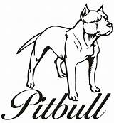 Pitbull Coloring Dog Pages Drawing Step Pitbulls Puppy Line Bulls Drawings Draw Printable Color Para Chicago Clipart Cartoon Head Print sketch template