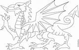 Welsh Dragon Flag Coloring Pages Colouring Printable Wales Print Dragons Getdrawings Getcolorings Color sketch template