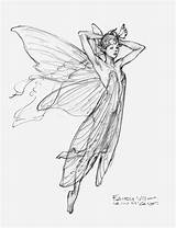 Fairy Drawing Draw Fairies Sketch Drawings Sketches Pencil Aesthetic Iain Wings Endicott Studio References Fantasy Mccaig Kunst Character Tegning Alfer sketch template