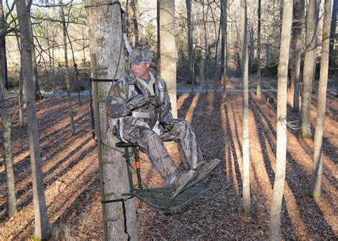 Use Tree Stands Safely For An Enjoyable Hunt Mississippi State