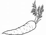 Vegetable Mewarnai Wortel Sayuran Carrots Colorir Sketsa Cenoura Kolorowanki Warzywa Marchewka Desenhos Sayur Buah Pobrania Cenouras Vegetabless Buahan Paud Tk sketch template