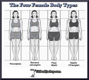 female body types fit desk jockey real fitness  real