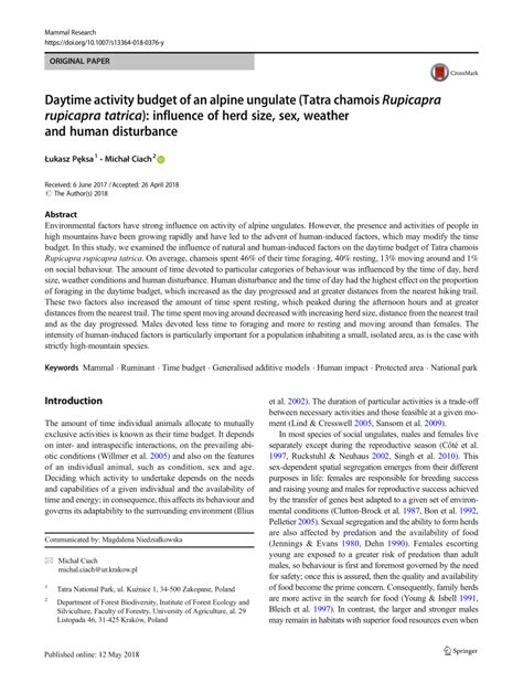pdf daytime activity budget of an alpine ungulate tatra chamois