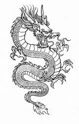 Dragon Line Chinese Drawing Drawings Thin Tattoo Paintingvalley sketch template