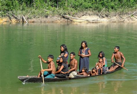 a new book and film about rare amazonian language the new york times