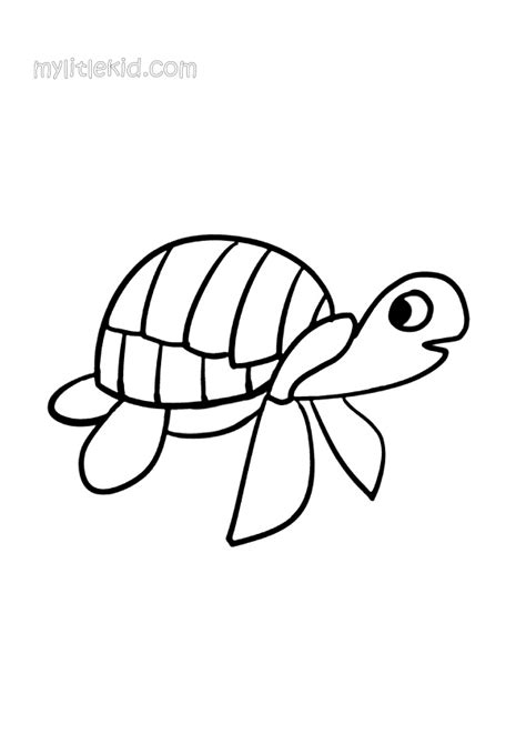 turtle coloring pages print