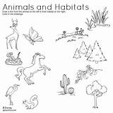 Habitats Animal Printable Worksheet Worksheets Animals 2nd Kids Coloring Homes Pages Colouring Kindergarten Grade Their Printables Activities Habitat Science Matching sketch template