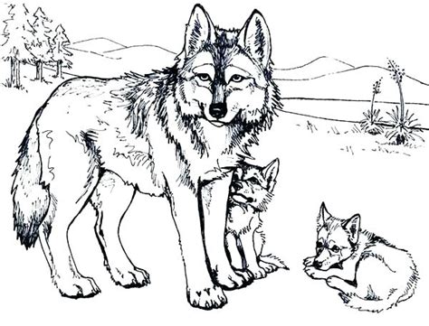 wolf howling coloring pages  getcoloringscom  printable