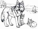 Wolf Coloring Pages Howling Printable Wolves Getcolorings Color Sheets sketch template