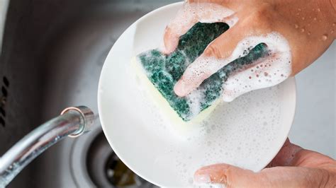 How Does Soap Make Dishes Clean Nsta