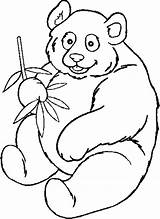 Panda Urs Colorat Planse Desene sketch template