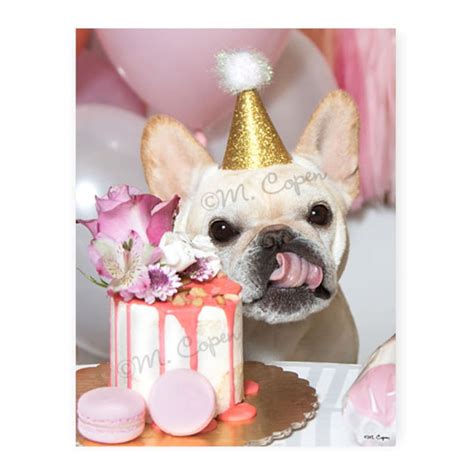 happy birthday french bulldog cards  card fawn french etsy uk