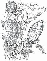 Coloring Jan Brett Okinawa Janbrett Pages Mitten Printables Color Click Subscription Downloads Mural sketch template