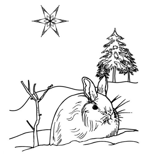 winter coloring pages google search animal coloring pages coloring