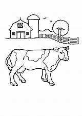 Desenhos Fazenda Cow Barnyard Bestcoloringpagesforkids Bichinhos Pintarcolorir Divirta Uma Popular sketch template