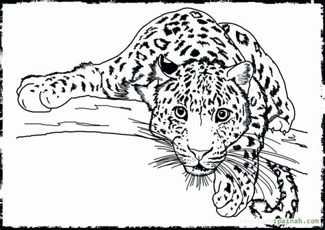 coloring page animals realistic   detailed coloring