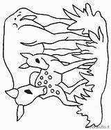 Colorat Cervi Bambini Caprioare Colorare Disegni Animale Hirschkuh Cerf Caprioara Cervo Daino Imagini Planse P18 Desene Cerfs Cerva Primiiani Volant sketch template