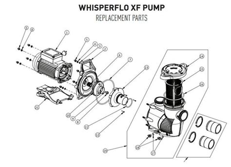 pentair pool pump parts diagram reviewmotorsco