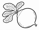 Outline Beets Drawing Foodhero Illustrations Find Choose Board sketch template