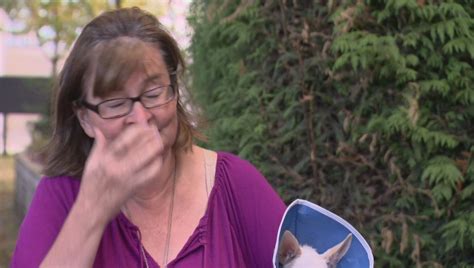 vancouver woman attacked by raccoons says they re being fed by a