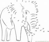 Elephant Dots Connect Dot Animals Color Worksheet Kids Pdf Report Print sketch template
