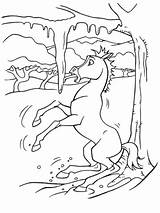 Cavallo Selvaggio Pintar Stallion Cimarron Kolorowanki Dzikiej Ausmalen Eis Doliny Ausmalbild Rutscht Dem Pferde Cheval Druku Caballo Cucciolo Colorearrr Bilder sketch template