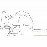 Kangaroo Coloring Baby Pages Coloringpages101 sketch template