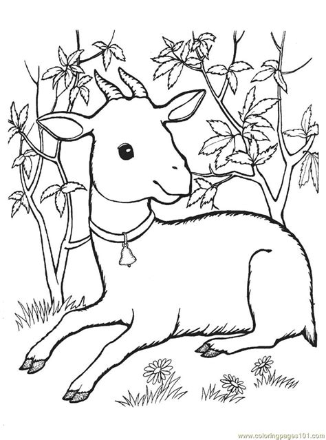 coloring pages goat animals goat  printable coloring page