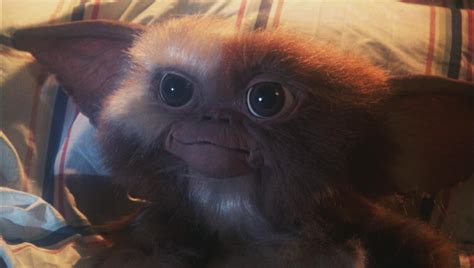 gizmo gremlins wallpapers wallpaper cave